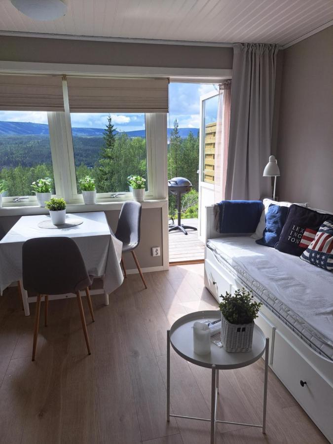 Mysig Laegenhet Med Fjaellutsikt I Saelen Apartment Exterior photo
