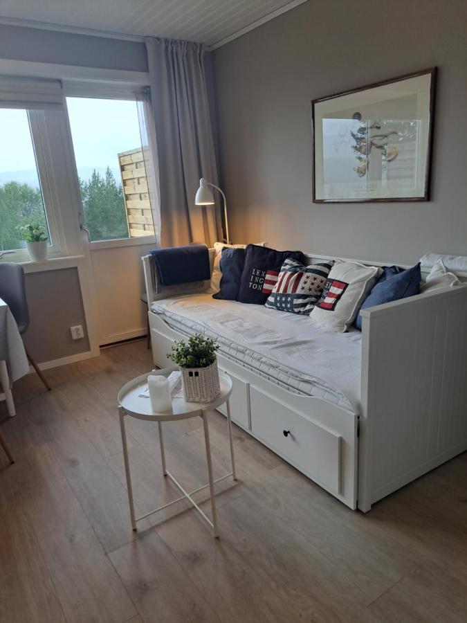 Mysig Laegenhet Med Fjaellutsikt I Saelen Apartment Exterior photo